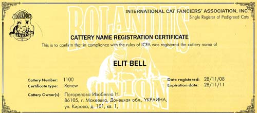 Certificate cattery ELITA